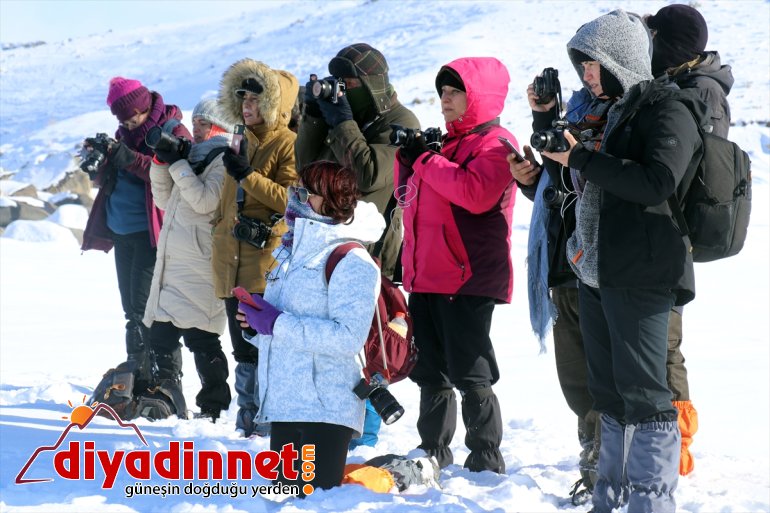 Eskimo görüntülemek usulü avını Ağrı