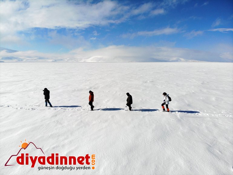 AĞRI balık geliyorlar için Ağrı