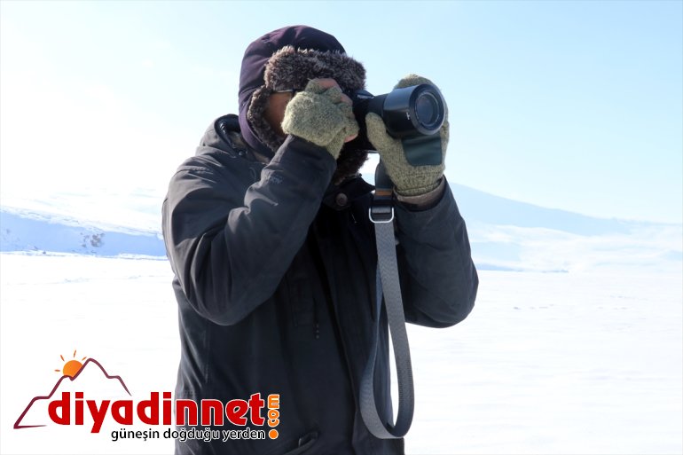 görüntülemek - balık geliyorlar Ağrı