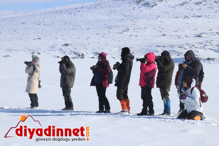 AĞRI için usulü geliyorlar görüntülemek avını Ağrı