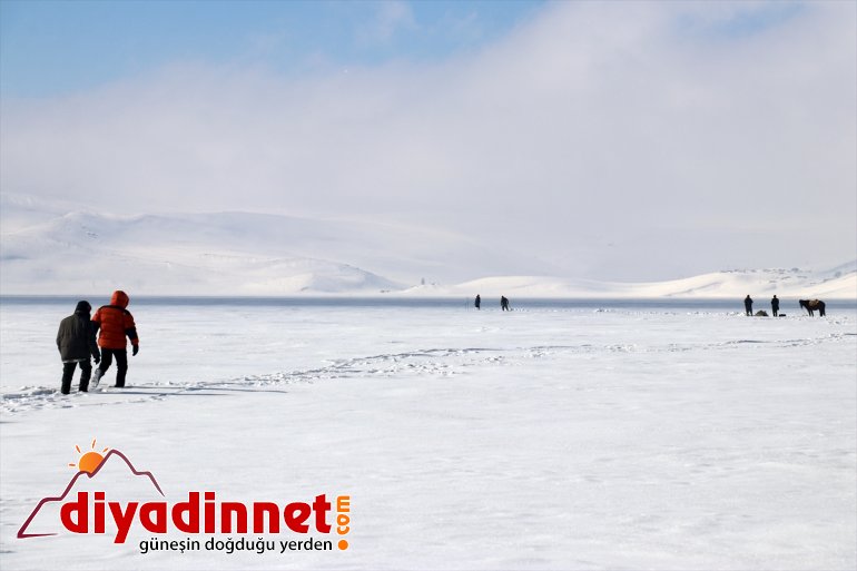 Eskimo geliyorlar usulü Ağrı