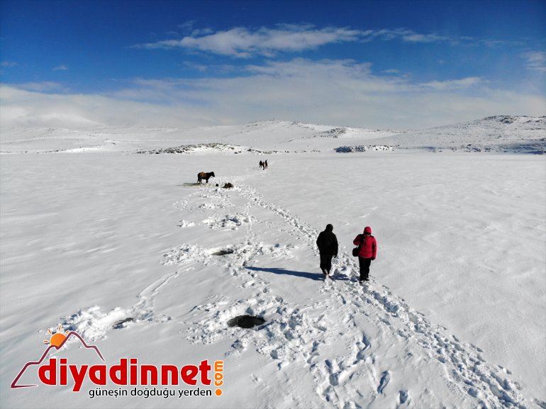 - avını Eskimo usulü balık için görüntülemek Ağrı