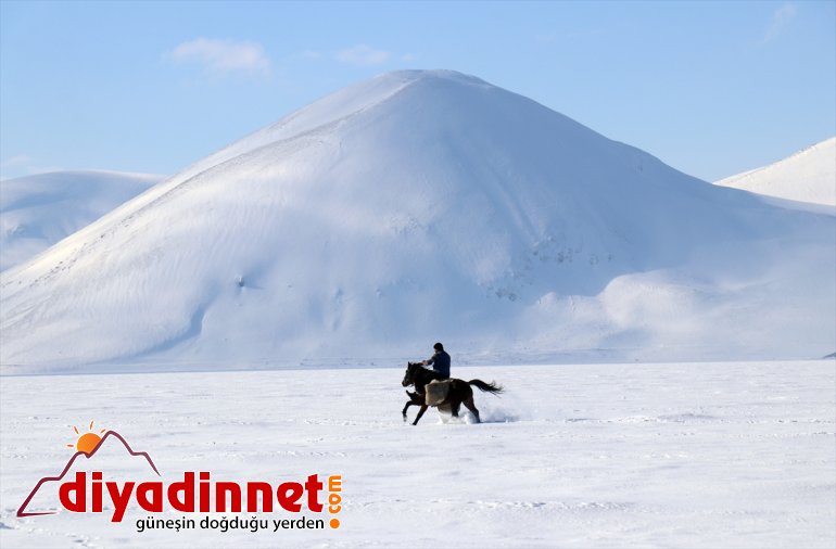- görüntülemek AĞRI Ağrı
