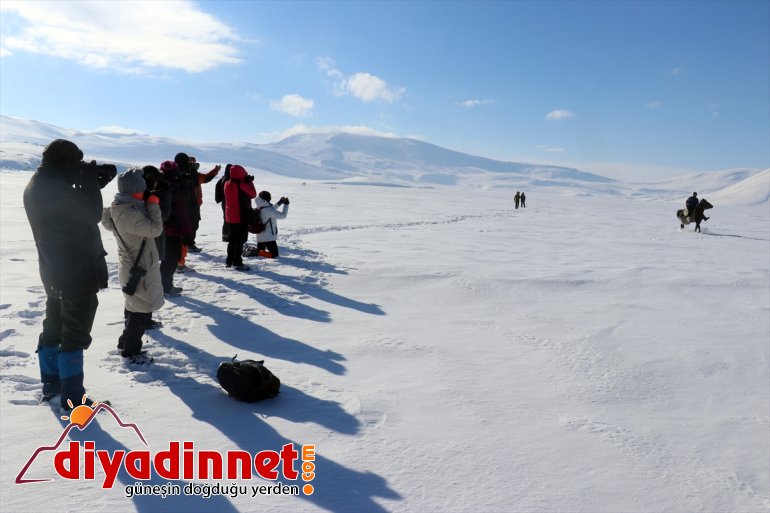 - için geliyorlar balık görüntülemek Ağrı