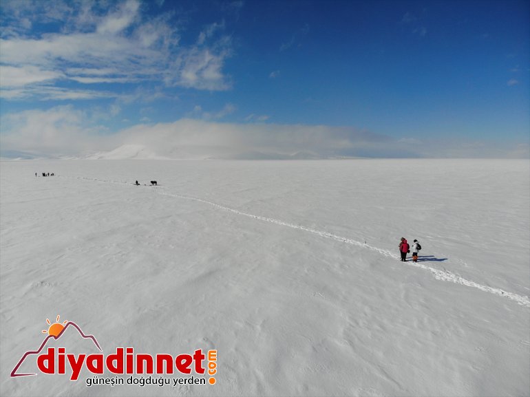 görüntülemek Ağrı