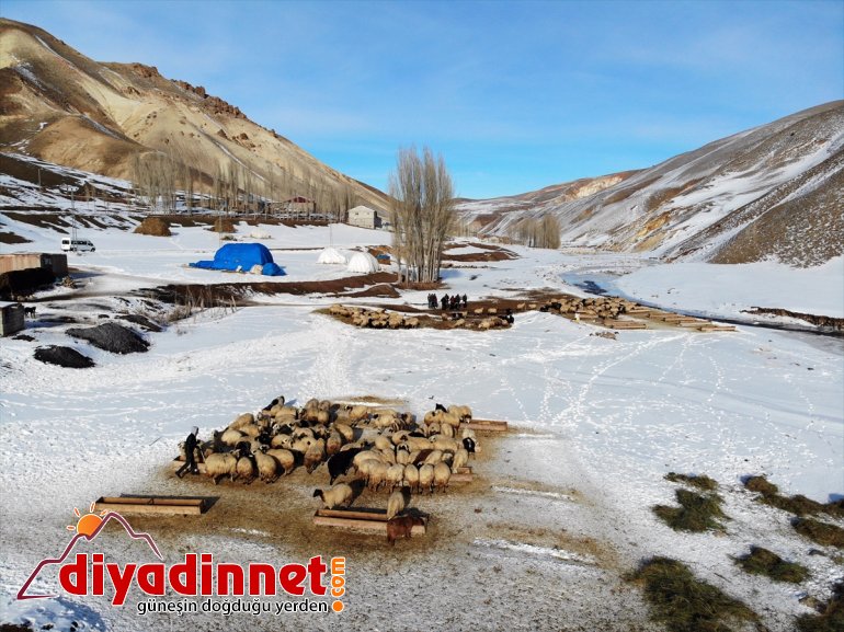 Kar ve soğuğa rağmen geçim kaynağı hayvanlarının ihtiyaçlarını aksatmıyorlar