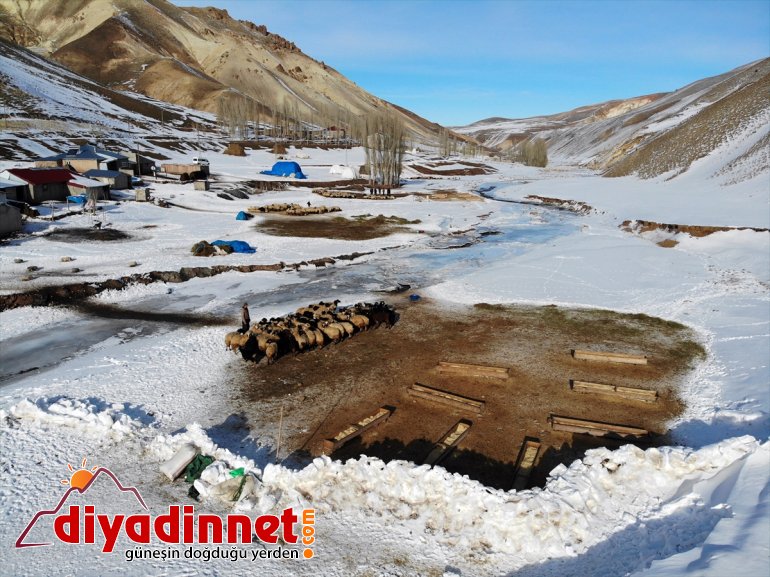 ihtiyaçlarını soğuğa hayvanlarının AĞRI - rağmen aksatmıyorlar Kar kaynağı geçim ve 2