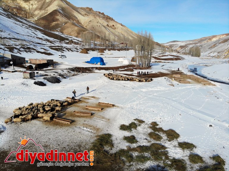 AĞRI ve ihtiyaçlarını aksatmıyorlar geçim soğuğa kaynağı Kar rağmen - hayvanlarının 4