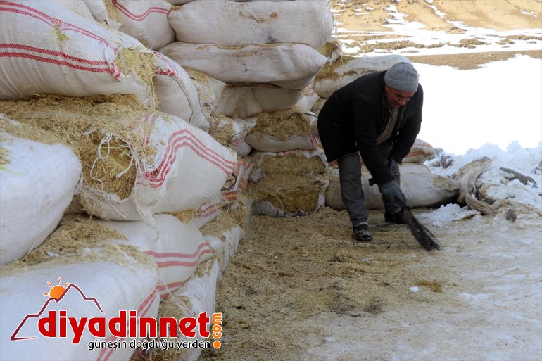 - hayvanlarının Kar soğuğa kaynağı rağmen aksatmıyorlar ve ihtiyaçlarını AĞRI geçim 8