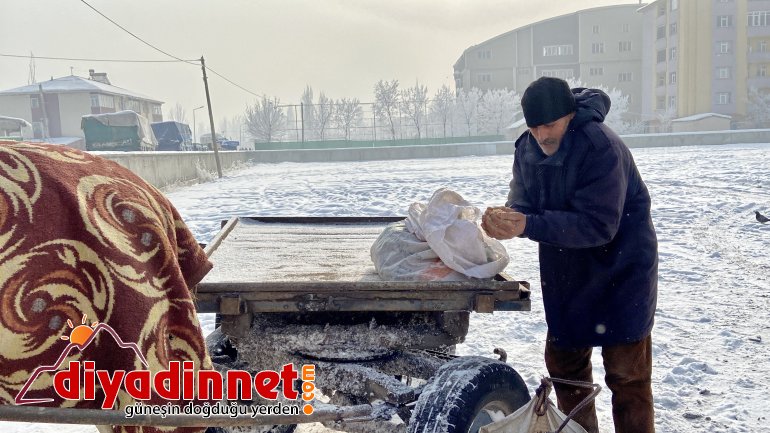 Atlarını battaniyeye ile sarıp dondurucu soğuklardan koruyorlar2