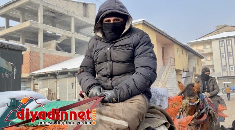 Atlarını battaniyeye ile sarıp dondurucu soğuklardan koruyorlar4