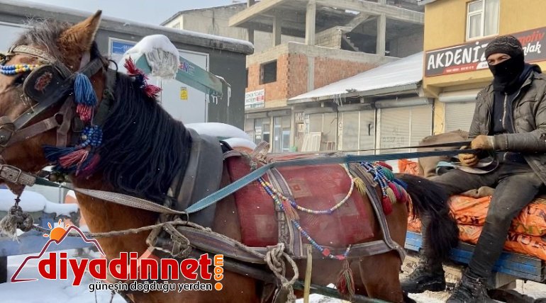 Atlarını battaniyeye ile sarıp dondurucu soğuklardan koruyorlar5