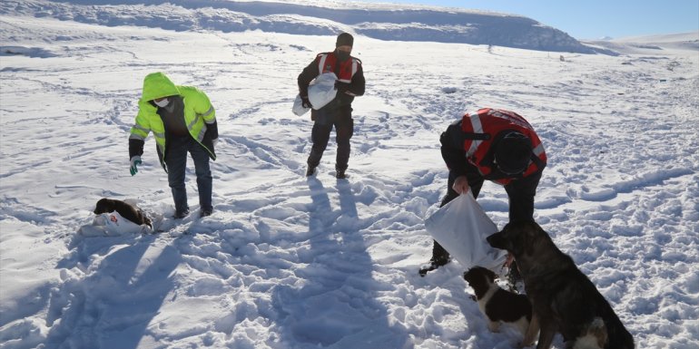 Başkale'de polis ve jandarma ekipleri sokak hayvanları için doğaya mama bıraktı
