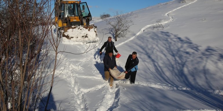 Belediye ekipleri, yolu kapanan mahalledeki tavuklara yem ulaştırdı1
