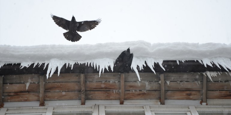 Bingöl'de itfaiye ekipleri çatılarda tehlike oluşturan buz sarkıtlarını kırıyor