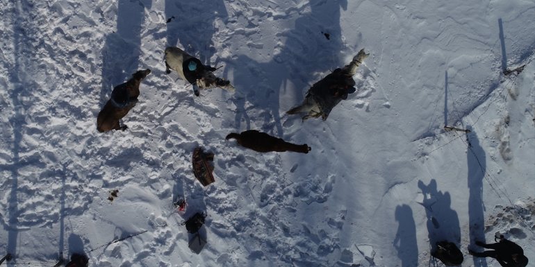 Yarışlara hazırladıkları atlarla kar üstünde antrenman yapıyorlar