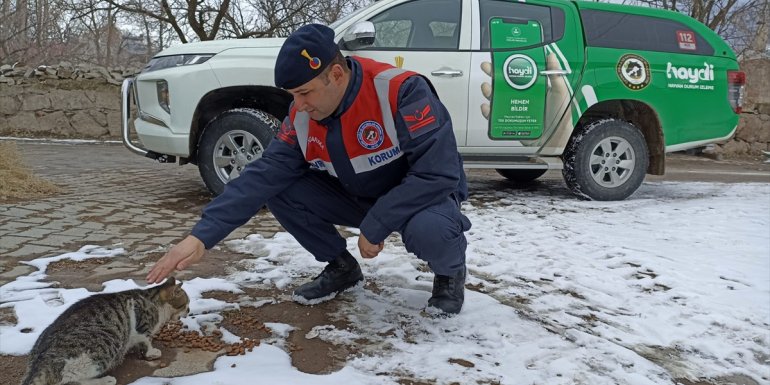 Bitlis'te yaban ve sokak hayvanları için doğa yem bırakıldı