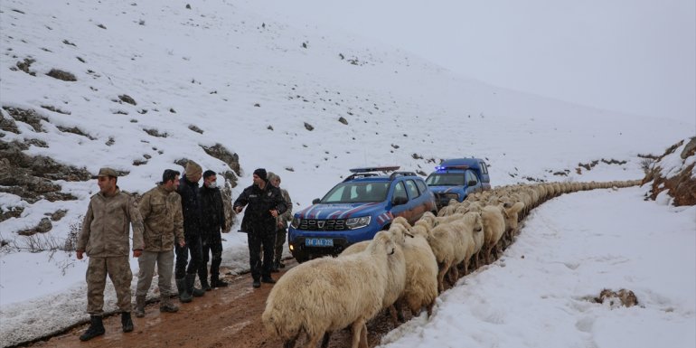 Darende Kaymakamı Türkoğlu, 2 bin rakımlı mahallede incelemelerde bulundu