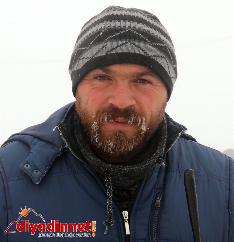 sıfırın sıcaklık Doğu düşük en gece altında Ağrı