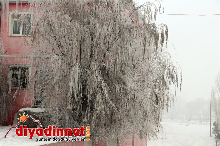 en gece dereceyle altında Ağrı