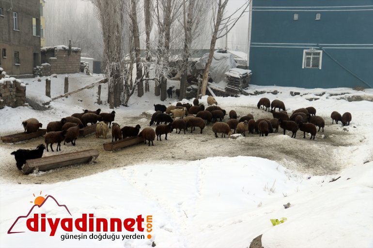 en 23 sıcaklık altında Anadolu