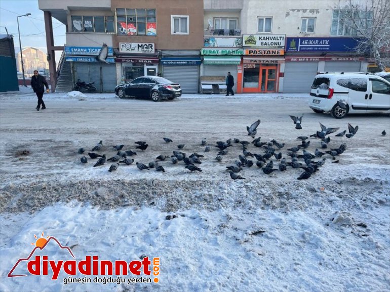 sıfırın 20 hava Ağrı