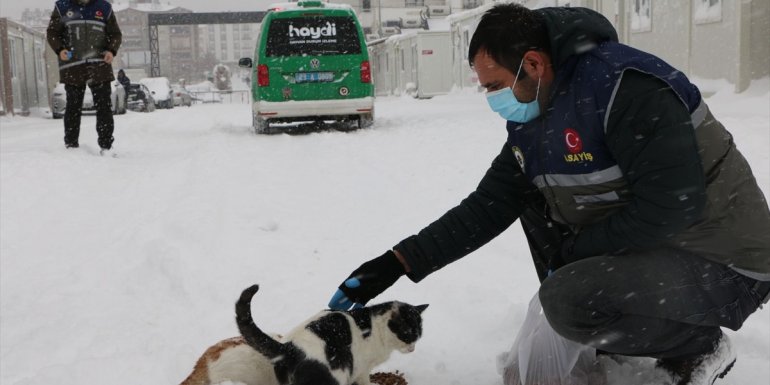 Elazığ'da polis ekipleri sokak hayvanlarını besledi