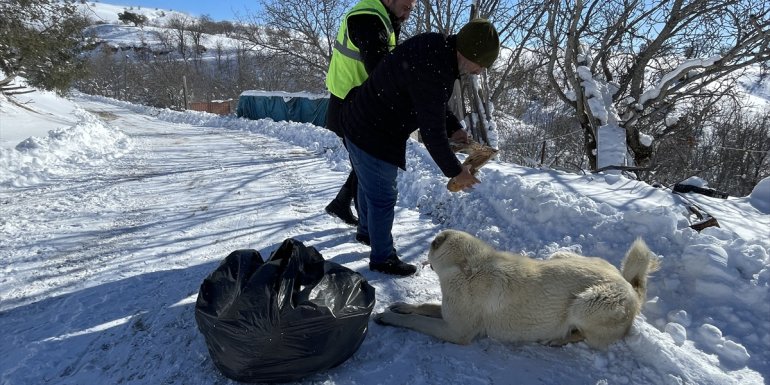 İş makinesi yolları açıyor, ekipler sokak hayvanlarını besliyor