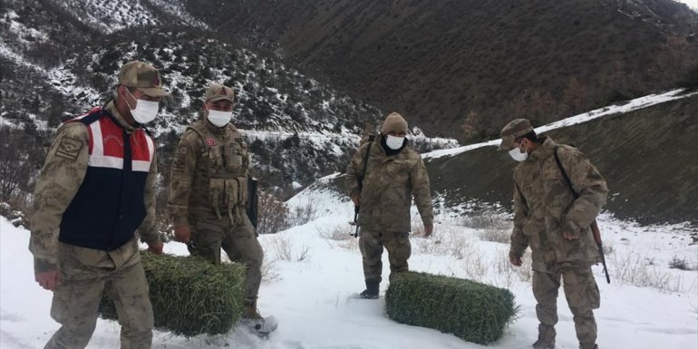 Elazığ'da jandarma ekipleri yaban hayatı için doğaya yem bıraktı