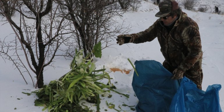 Erzincan'da jandarma ve milli parklar ekipleri yaban hayvanlarına yem bıraktı