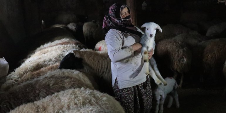 Göçerlerin ağıllardaki zorlu "kuzu" nöbeti