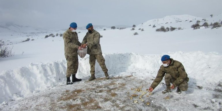 ERZİNCAN - Komandolar, yaban hayvanları için doğaya yem ve yiyecek bıraktı1