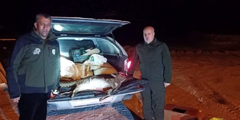 Erzurum'da yaban keçisi avlayan iki kişiye para cezası kesildi