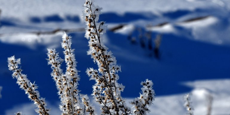 Erzurum, Kars ve Tunceli
