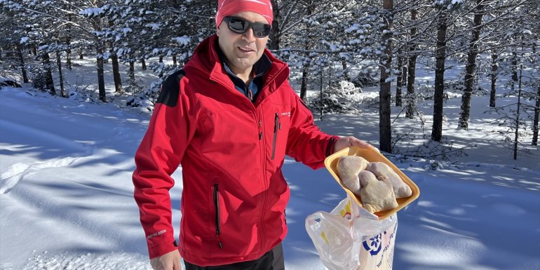 ERZURUM - Nesli tükenme tehlikesindeki vaşak görüntülendi1