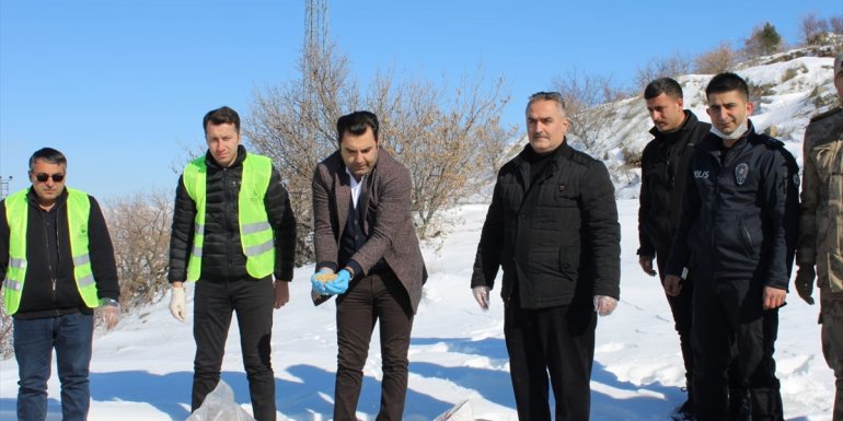 Gaziantep, Şanlıurfa, Malatya, Adıyaman ve Kilis'te kar yağışı etkili oluyor