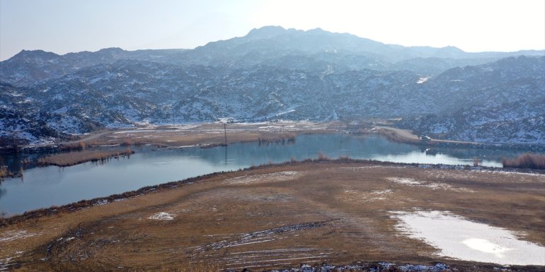 IĞDIR - Kış koşullarına rağmen 18 kuş türüne ev sahipliği yapıyor1