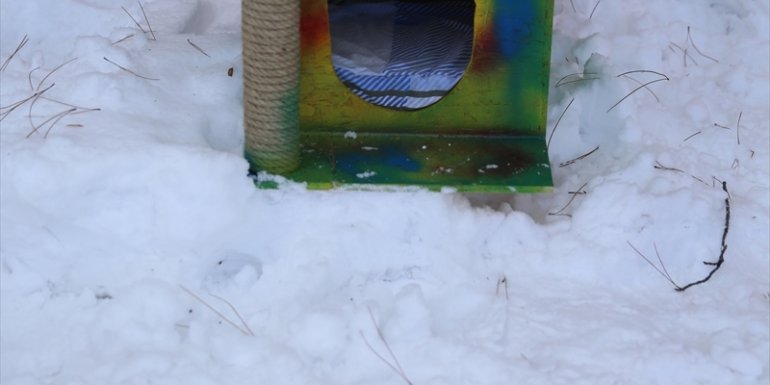 MALATYA - Ceza infaz kurumu personeli ve hükümlülerden can dostlara şefkat eli1