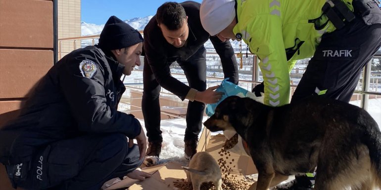 Malatya'da polisten sokak hayvanlarına mama desteği