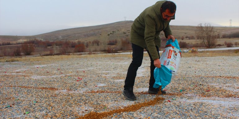 Doğanşehir Belediyesi sokak hayvanları için mama dağıttı