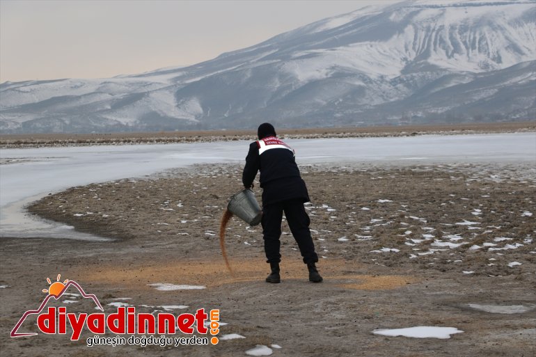 Mehmetçik çetin kışın yaşandığı Ağrı