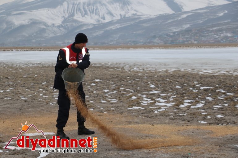 Mehmetçik çetin kışın yaşandığı Ağrı