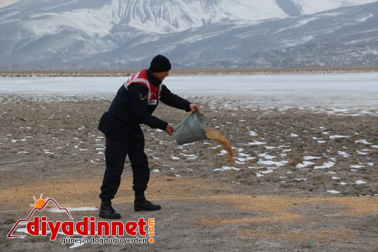 Mehmetçik çetin kışın yaşandığı Ağrı
