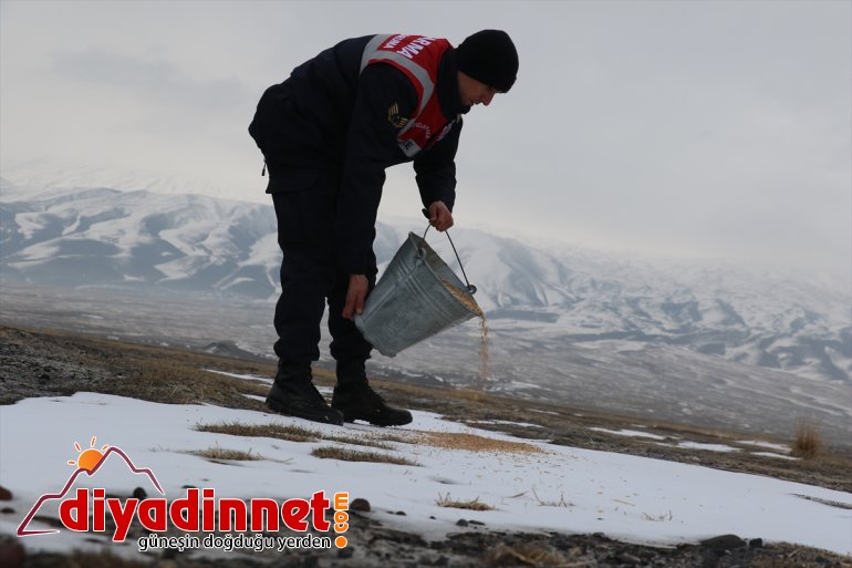 Mehmetçik çetin kışın yaşandığı Ağrı