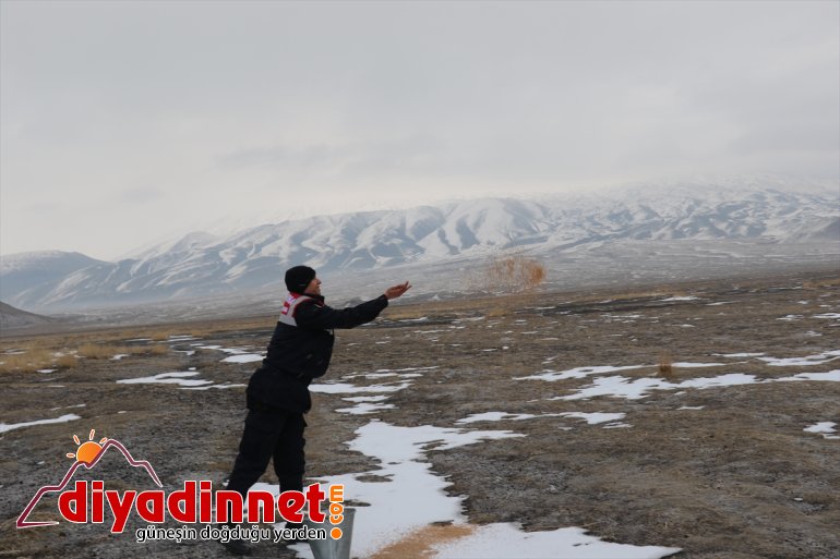 Mehmetçik çetin kışın yaşandığı Ağrı