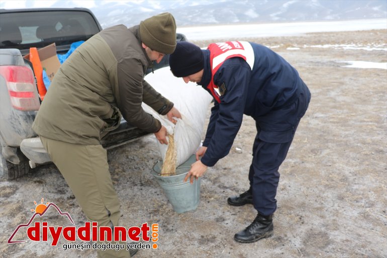 Mehmetçik çetin kışın yaşandığı Ağrı