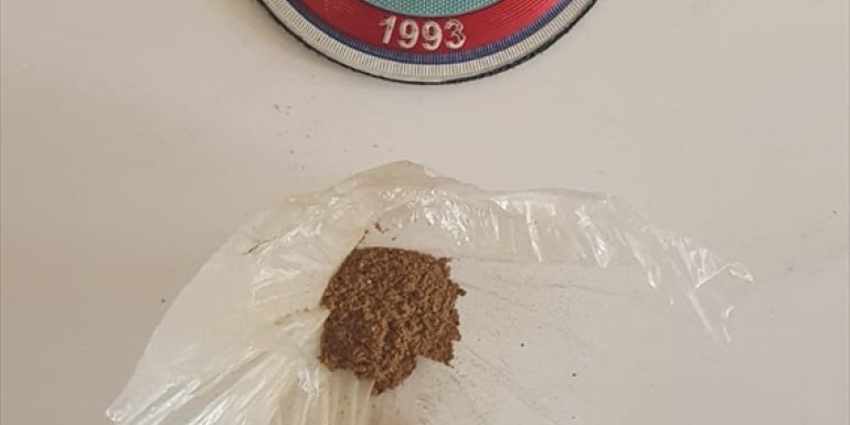 Van'da çeşitli suçlardan aranan 20 kişi tutuklandı