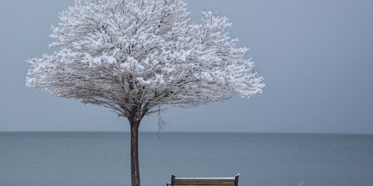 Van, Muş, Hakkari ve Bitlis