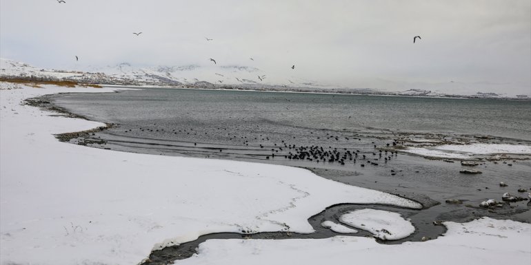 Yağışlar, kuraklıktan etkilenen Van Gölü Havzası için umut oldu