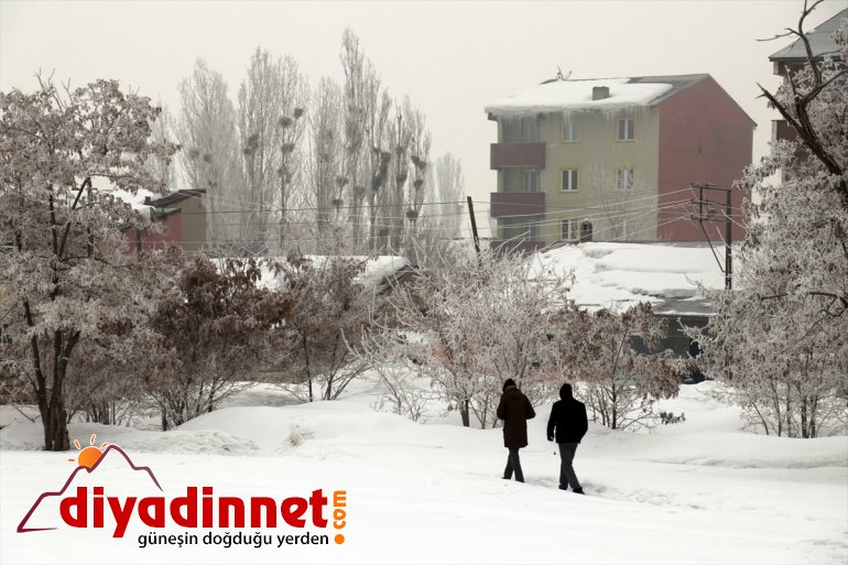 Ağrı da soğuk hava etkisini sürdürüyor3